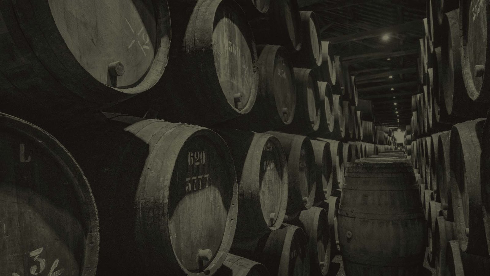 Inside Our Vineyards: A Visual Tour of Our Grapes